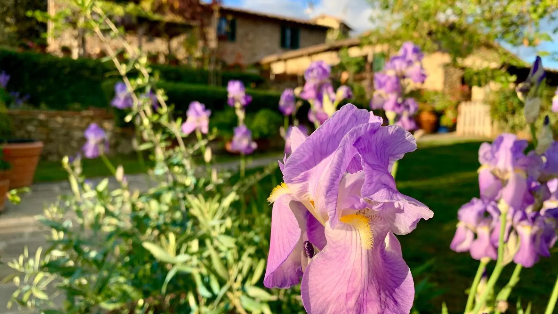 Holiday home Casa Tizzano Villa Santo Stefano A Tizzano Italy